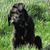Janie Patterson's profile image