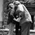Tammy Roberts Pursley's profile image
