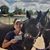Mary Anderson's profile image