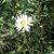 Tonya Applegate's profile image