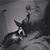 Tom Shindle's profile image