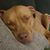 Shauna Wittek Clark's profile image