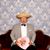 John Wentworth Chapin's profile image