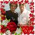 Kay Flager's profile image