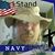 Hal Smith's profile image