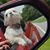 Lynda Ruggiero's profile image