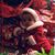 Gail Riker Rivera's profile image