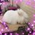 Lori Smith's profile image
