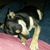 Letha Powell's profile image