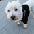 Jose Lopez's profile image