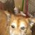 Christel Barradon's profile image