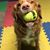 Elaine Bloom's profile image