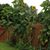 Rebecca Kessell's profile image