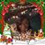 Karen Carter's profile image