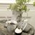 Debby Albrecht's profile image