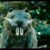Alan Blades's profile image