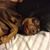 Ken Missling Jr's profile image