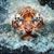 Carlo Russo's profile image