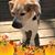 Sandra Zastrow's profile image