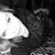 Randie Malette York's profile image