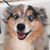 Cecil W. Davis III's profile image
