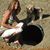 Lisa McClure Tadlock's profile image