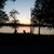 Barb Certa-Werner's profile image