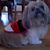 Cathy Kalaska Mizerny's profile image