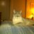 Matthew Moore's profile image