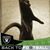 Tenly A. Kuech Hall's profile image