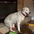 Jeanie Pratt Martin's profile image