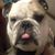 Marcia Beck's profile image