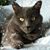 Pam Vajgrt's profile image