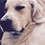 Nichole Uhlis Orbin's profile image