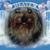 Robert Tucker's profile image