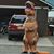 Brent Jarman's profile image