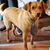 Gail Henderson Vohland's profile image