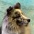 Kimberly J Parker's profile image