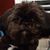Mary Howard Leppo's profile image