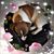 Rosemary Vogel's profile image