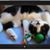Bonnie Ashley's profile image
