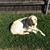 Jane Dolese's profile image