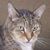 Patti Moore Sauvageot White's profile image