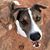 Bryan Nickell Rampton's profile image