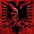 Dina Bedini's profile image