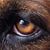 Elliot Weaver's profile image