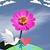 Donna Cooper's profile image