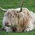 Gary Elam's profile image