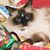 Cheri Monk Darrieulat's profile image