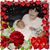 Valorie Peters MacInnis's profile image